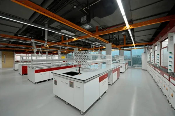 Warm collaborative interior