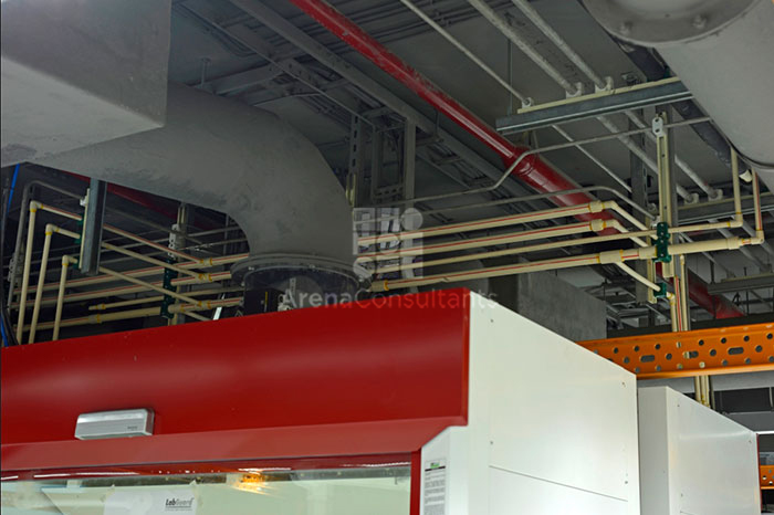Fumehood ducting, utility piping layout and all services